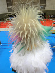 理容部門チャレンジアートヘア金賞（後）