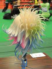 理容部門チャレンジアートヘア銀賞（後）