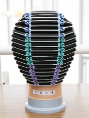 理容部門ワインディング金賞(後2)