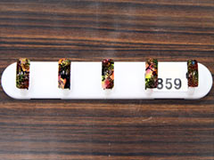 美容部門ネイルアート銅賞